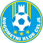 team logo