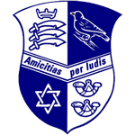 team logo