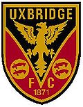 team logo