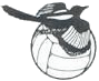team logo