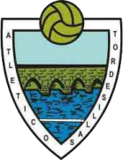 team logo