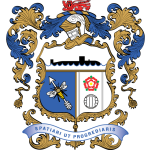 team logo